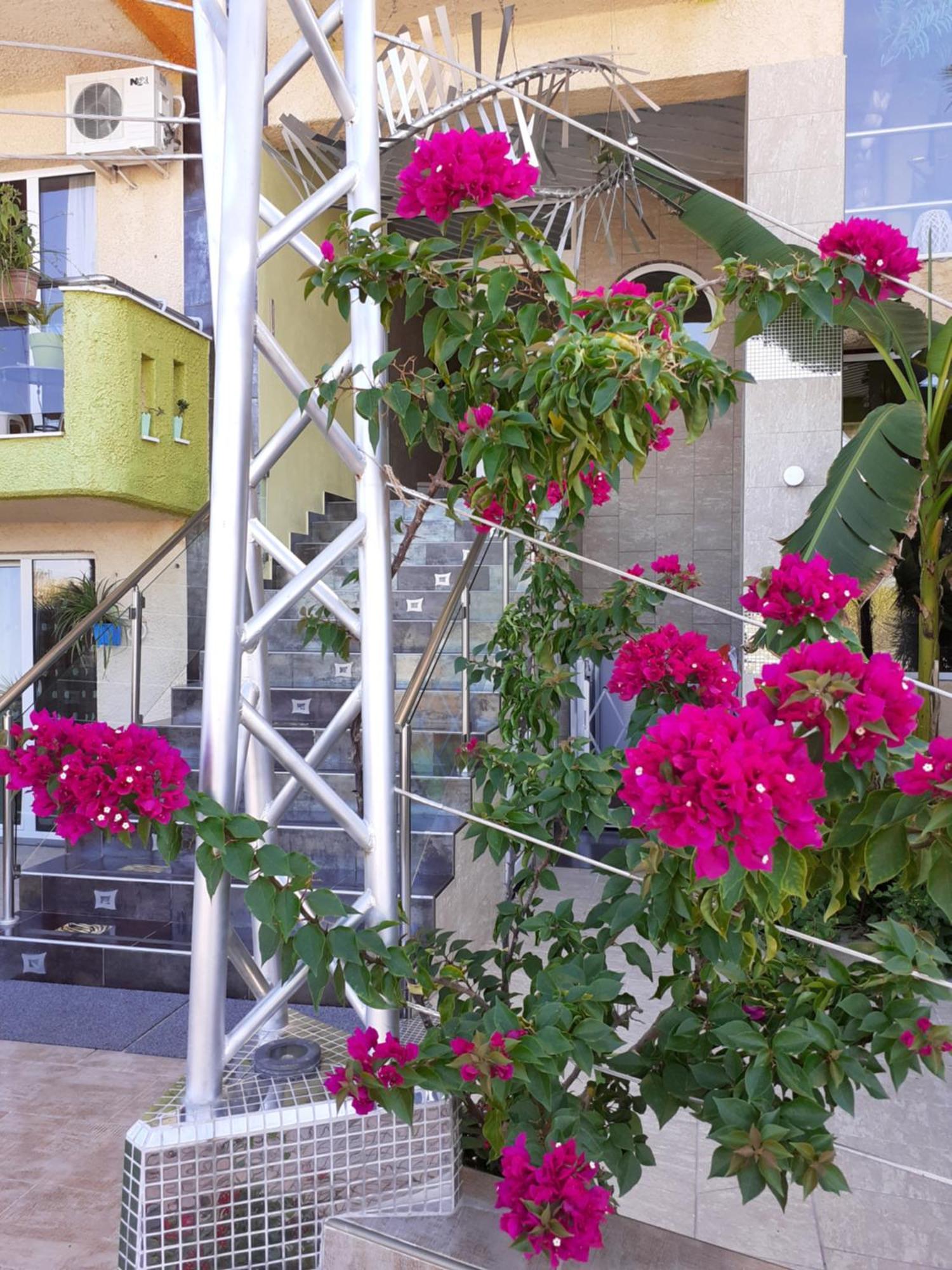 Lilalo Ηotel Paralia Katerinis Luaran gambar